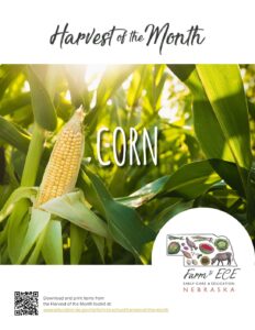 Corn-ECE-Lesson