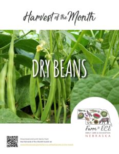 Dry Beans-ECE-Lesson