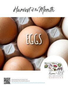 Eggs-ECE-Lesson