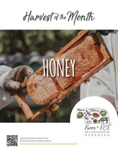 Honey-ECE-Lesson
