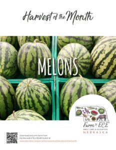 Melons-ECE-Lesson