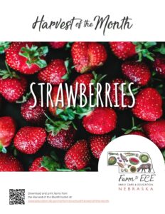 Strawberries-ECE-Lesson