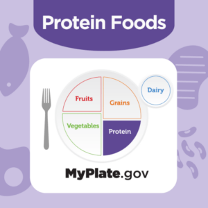 MyPlate graphic highlighting the Protein food group.