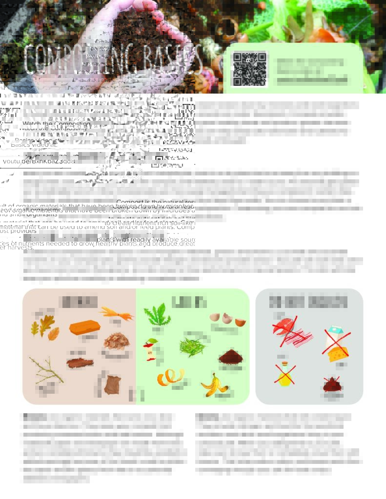Composting-Basics
