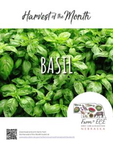 Basil-ECE-Lesson