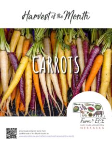 Carrots-ECE-Lesson