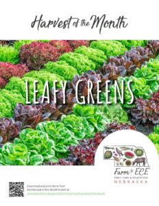 Leafy-Greens-ECE-Lesson