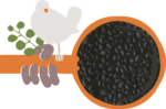 Beanstock stockpot with black beans