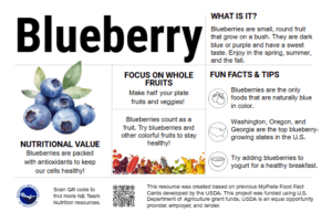Image preview of Blueberry Nutrition Education Card