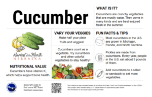Image preview of Cucumber Nutrition Education Card.