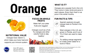 Image preview of the Orange Nutrition Education Card.