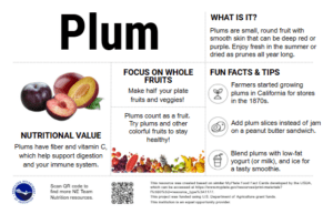 Image preview of the Plum Nutrition Education Card.